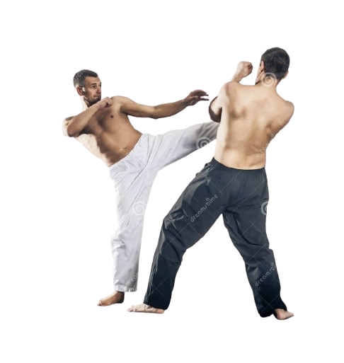 Gli sport di combattimento in una prospettiva integrata